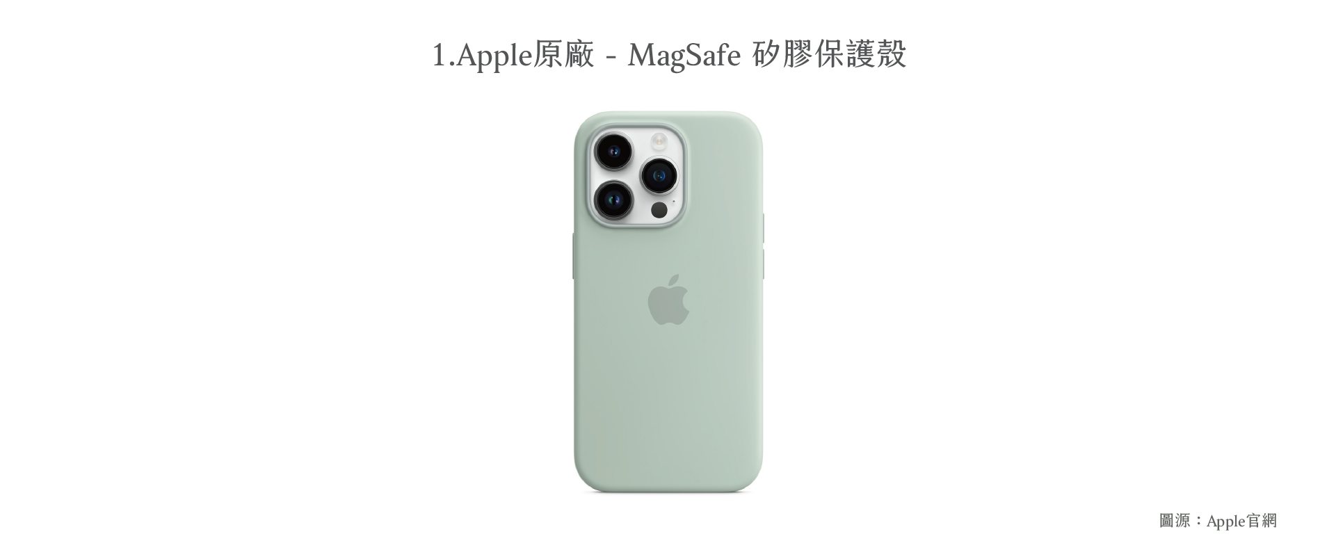 Apple原廠手機殼