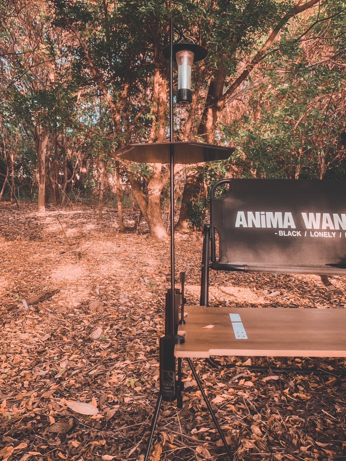 ANiMA WANDERER BLN-22 燈架連碳纖桌板