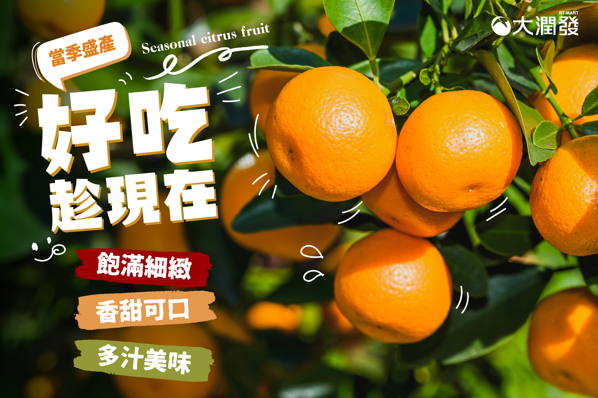 大潤發禮券 柳丁