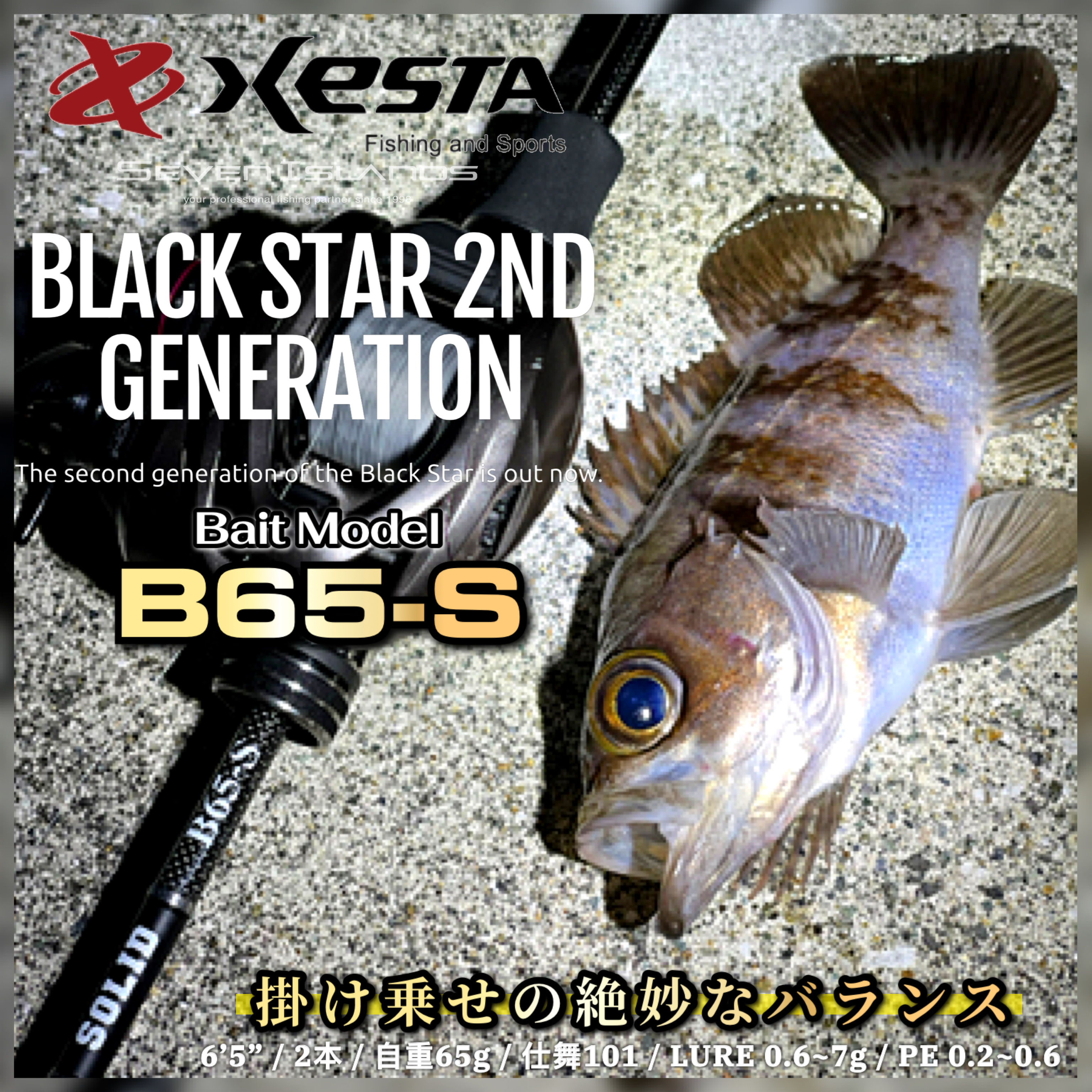 ブラックスターソリッド セカンドジェネレーション B65-S XESTA ブラックスターソリッド 2ndジェネレーション B65-S