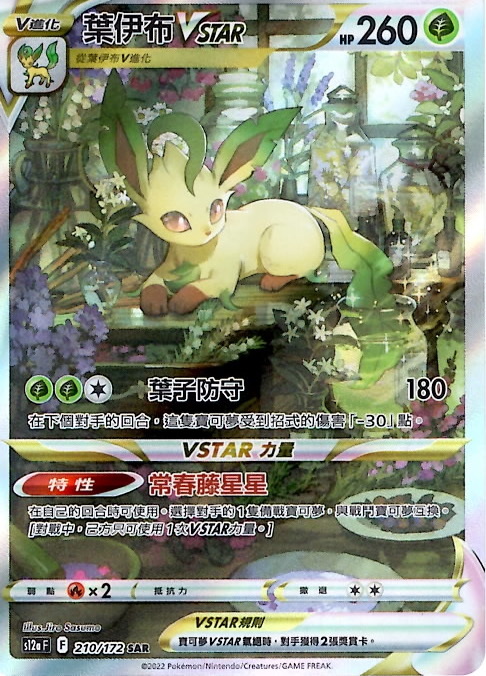 s12a 天地萬物 210/172 葉伊布VSTAR   SAR