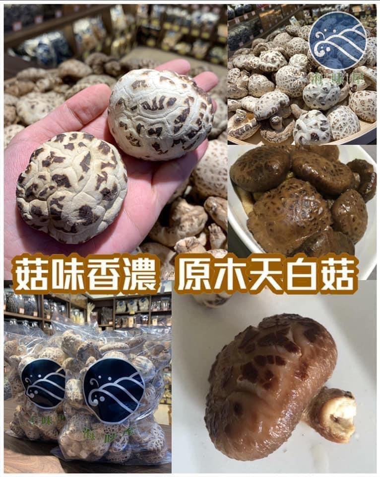 原木天白菇