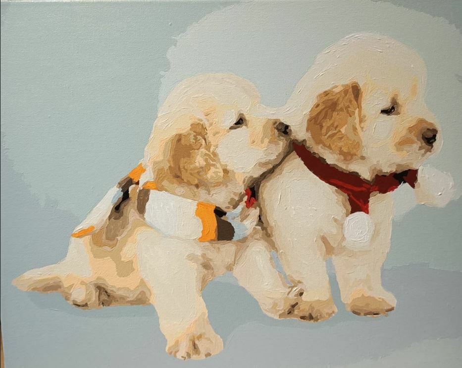 【DT064】兩小無猜