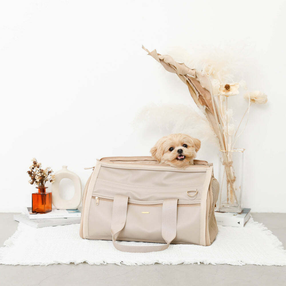 2way旅行寵物提袋