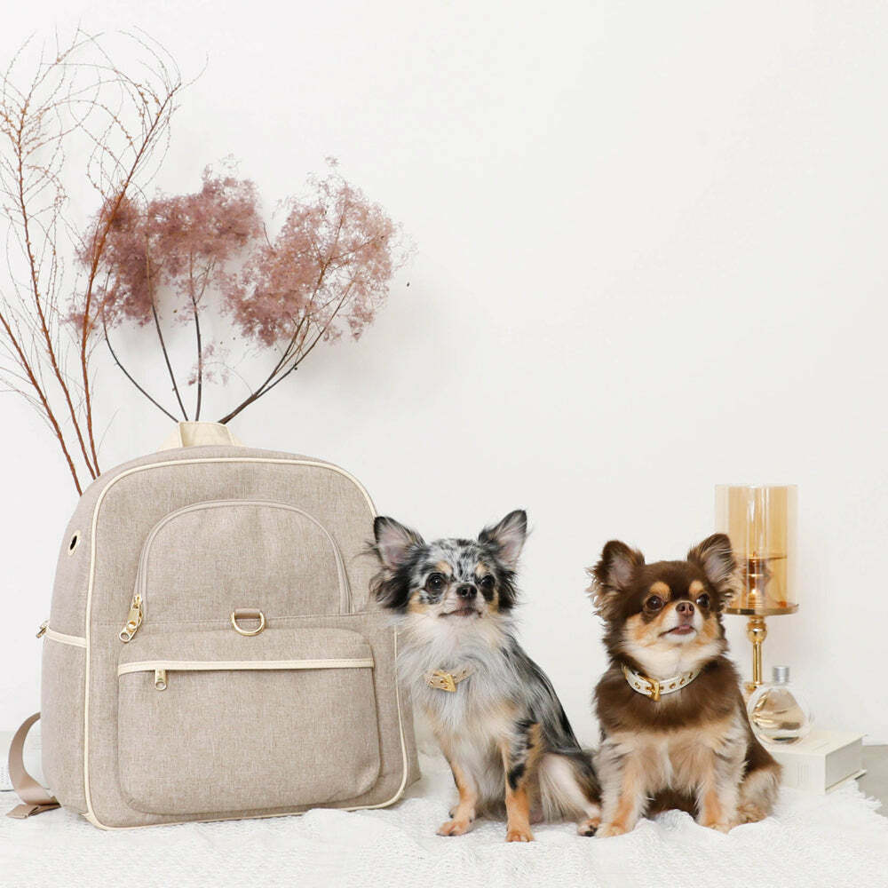 寵物外出後背包