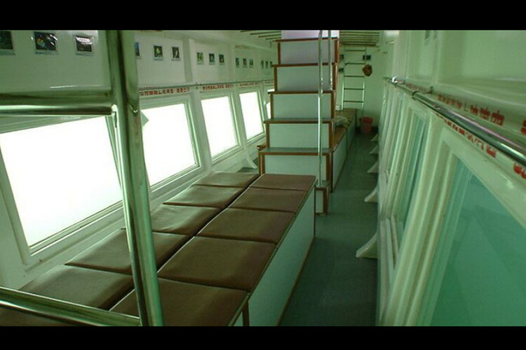 墾丁海世界-半潛艇搭乘券船倉