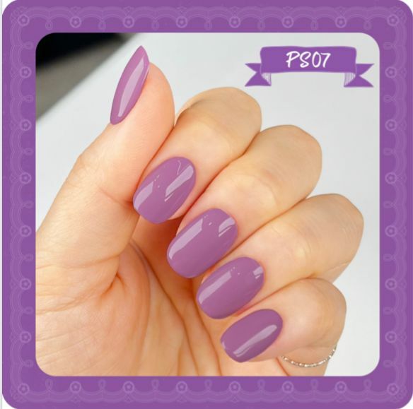 Show Me - 𝗣𝗨𝗥𝗥𝗜𝗡𝗚 𝗦𝗢𝗡𝗚 #PS07 (10ml)