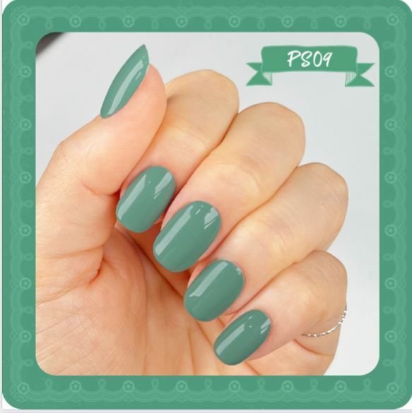 Show Me - 𝗣𝗨𝗥𝗥𝗜𝗡𝗚 𝗦𝗢𝗡𝗚 #PS09 (10ml)