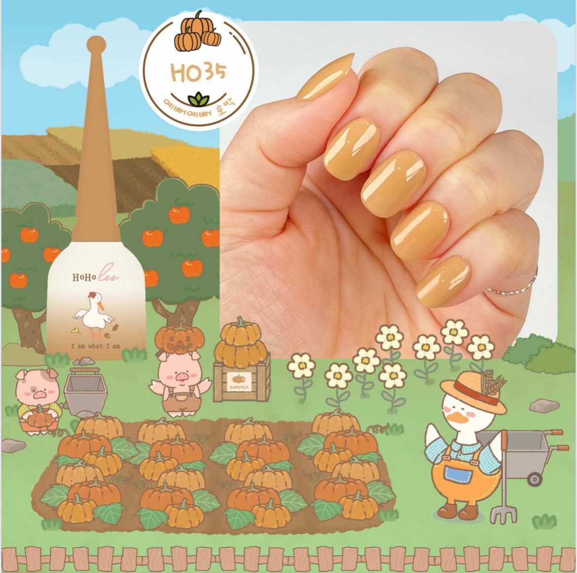 HOHOLEE- H035  (10ml)