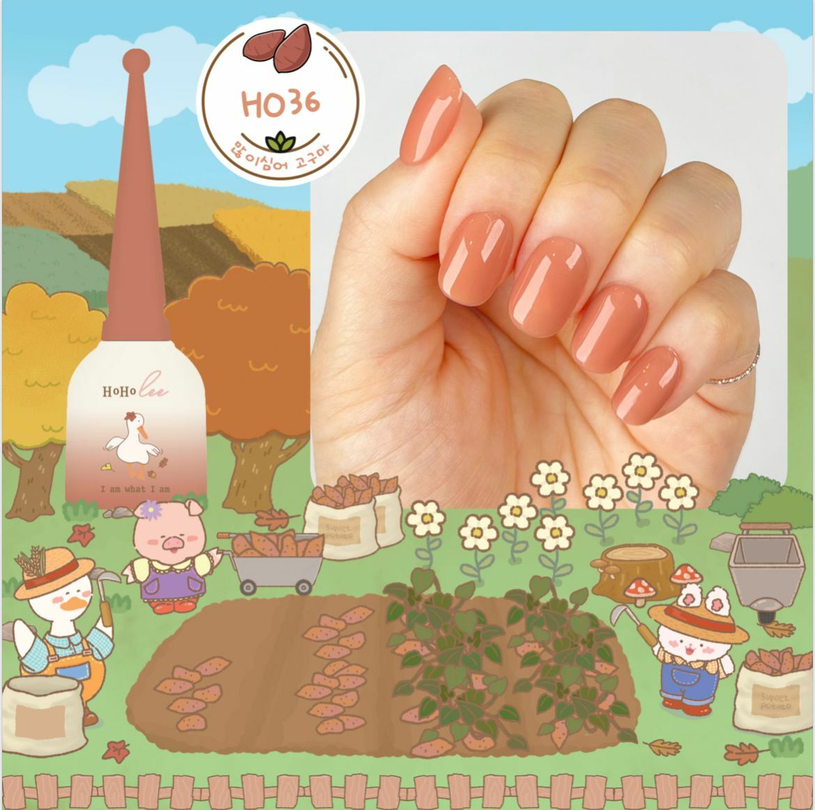 HOHOLEE- H036 (10ml)