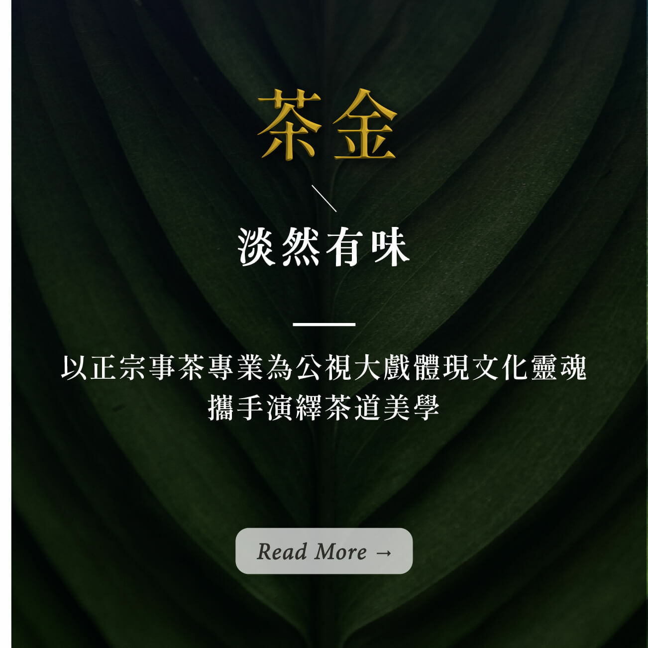 茶金和淡然有味聯名