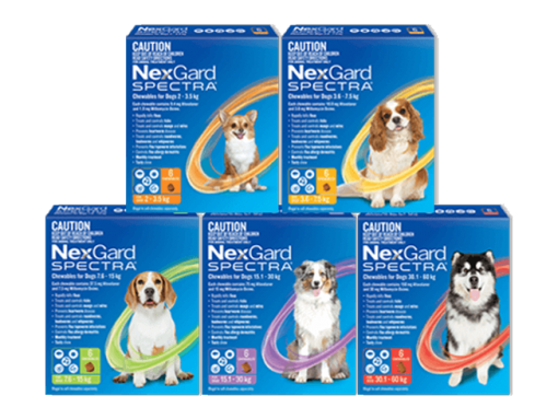 Nexgard Heartworm Flea And Tick