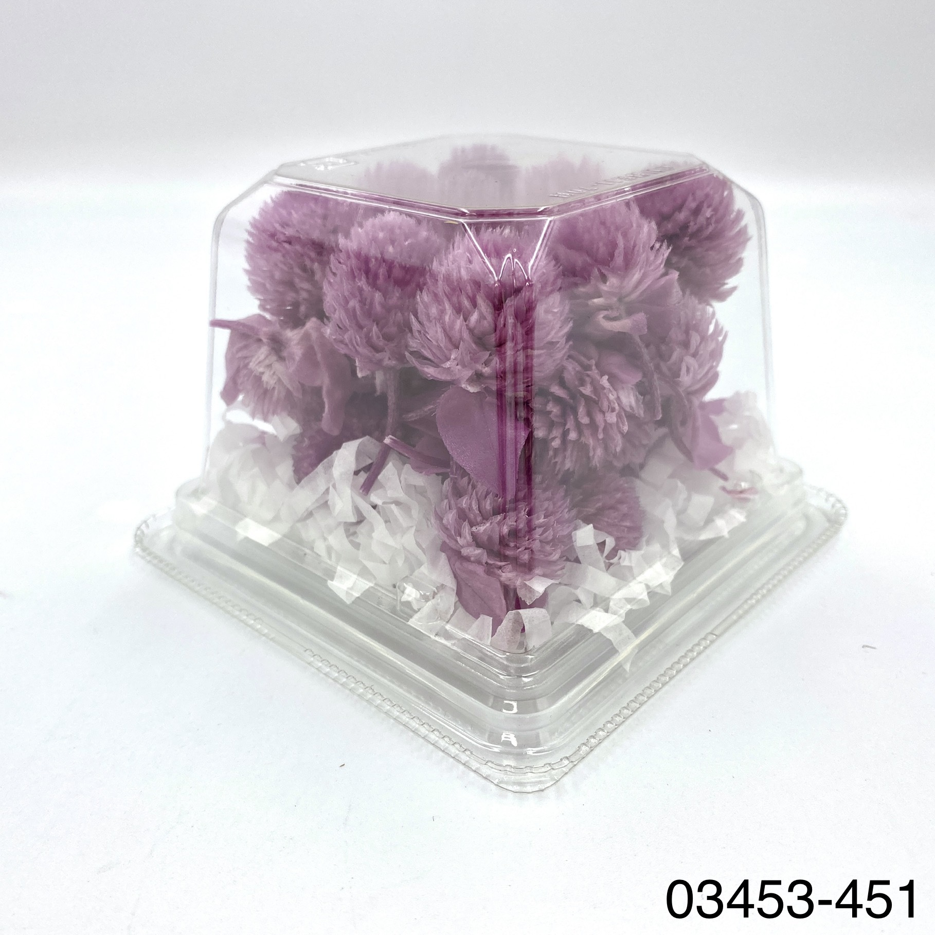 日本不凋千日紅 03453-451