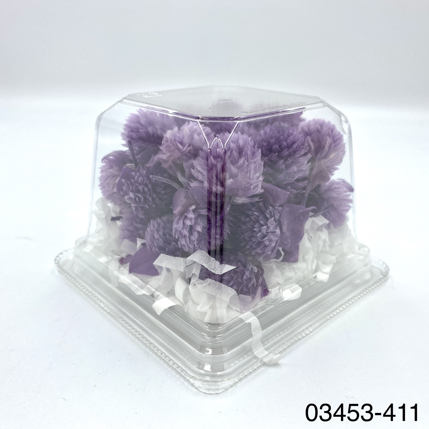 日本不凋千日紅 03453-411