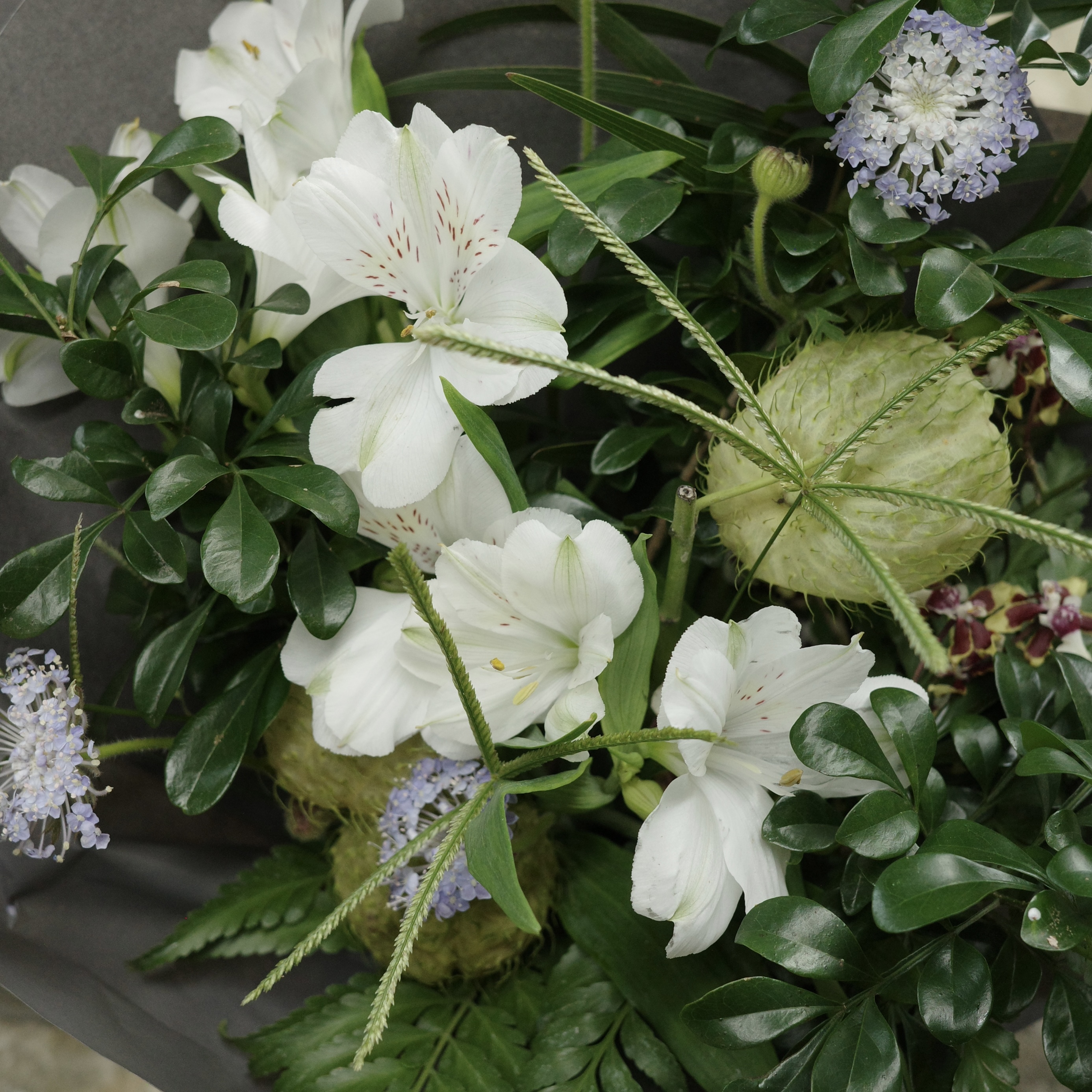 穿越樹林的時光