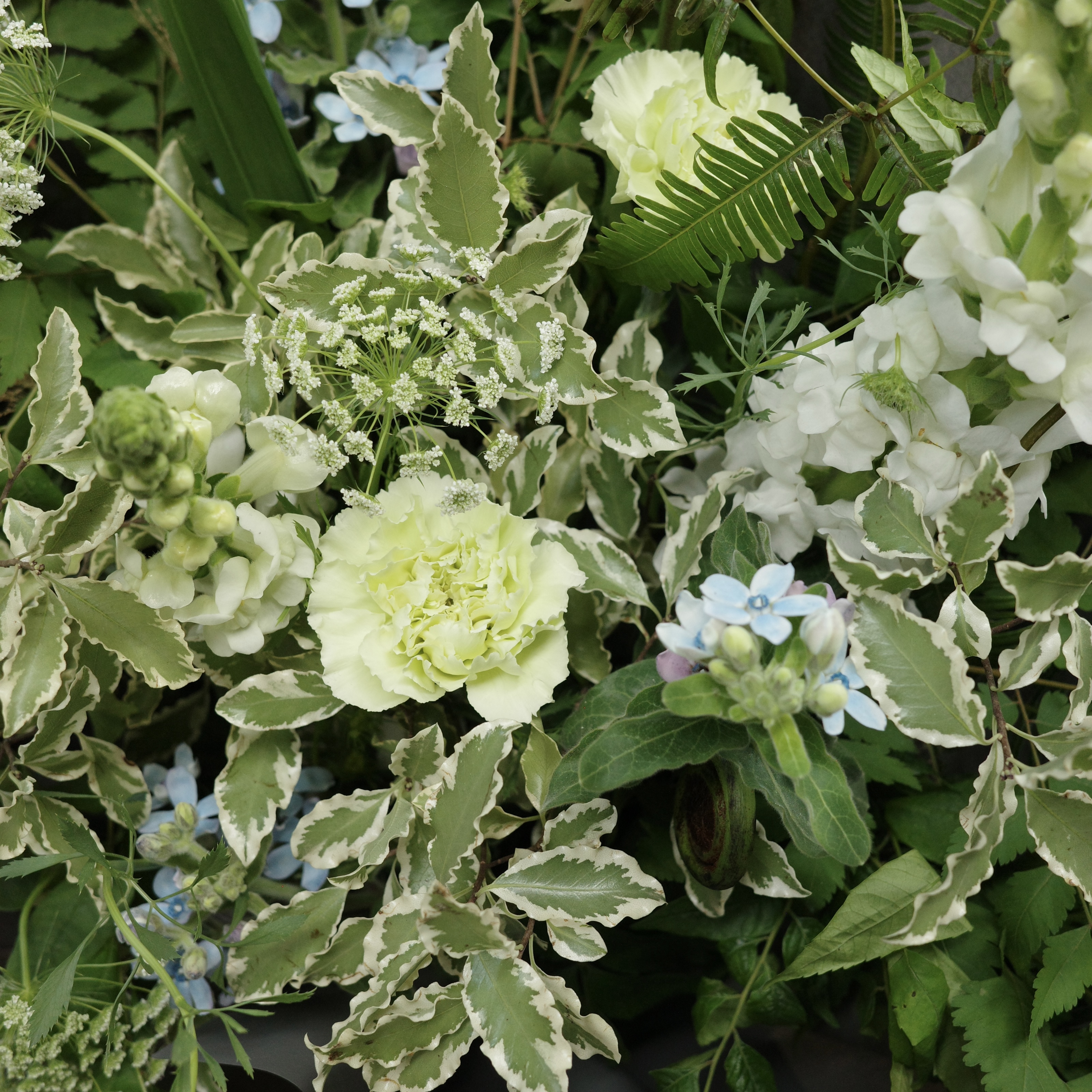 風的形狀｜新竹限定