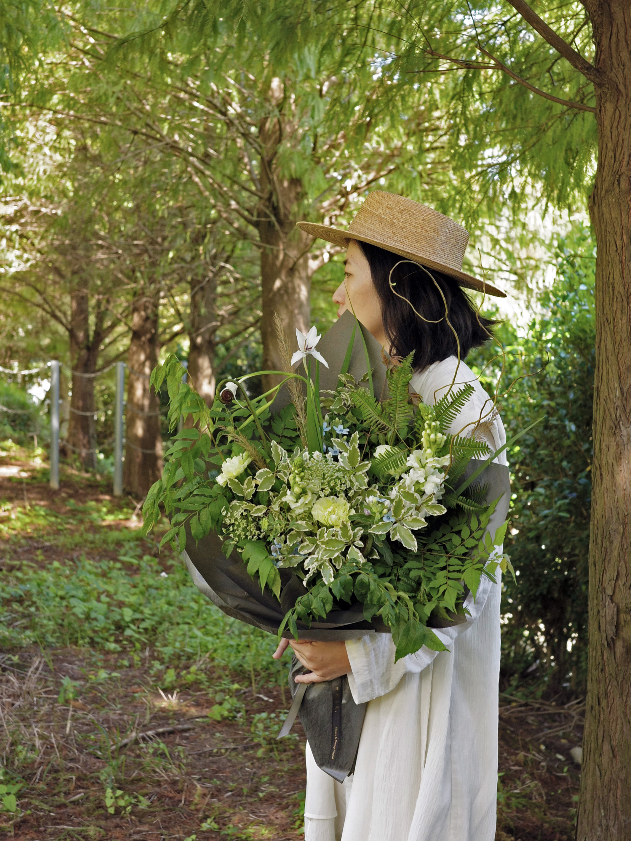 風的形狀｜新竹限定