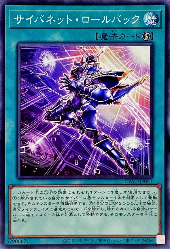CYAC-JP051 サイバネット・ロールバック
