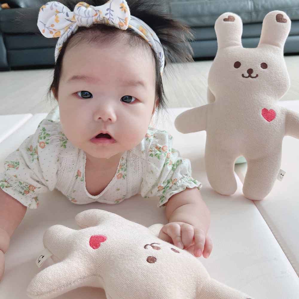 (現貨) DTD 大小安撫公仔