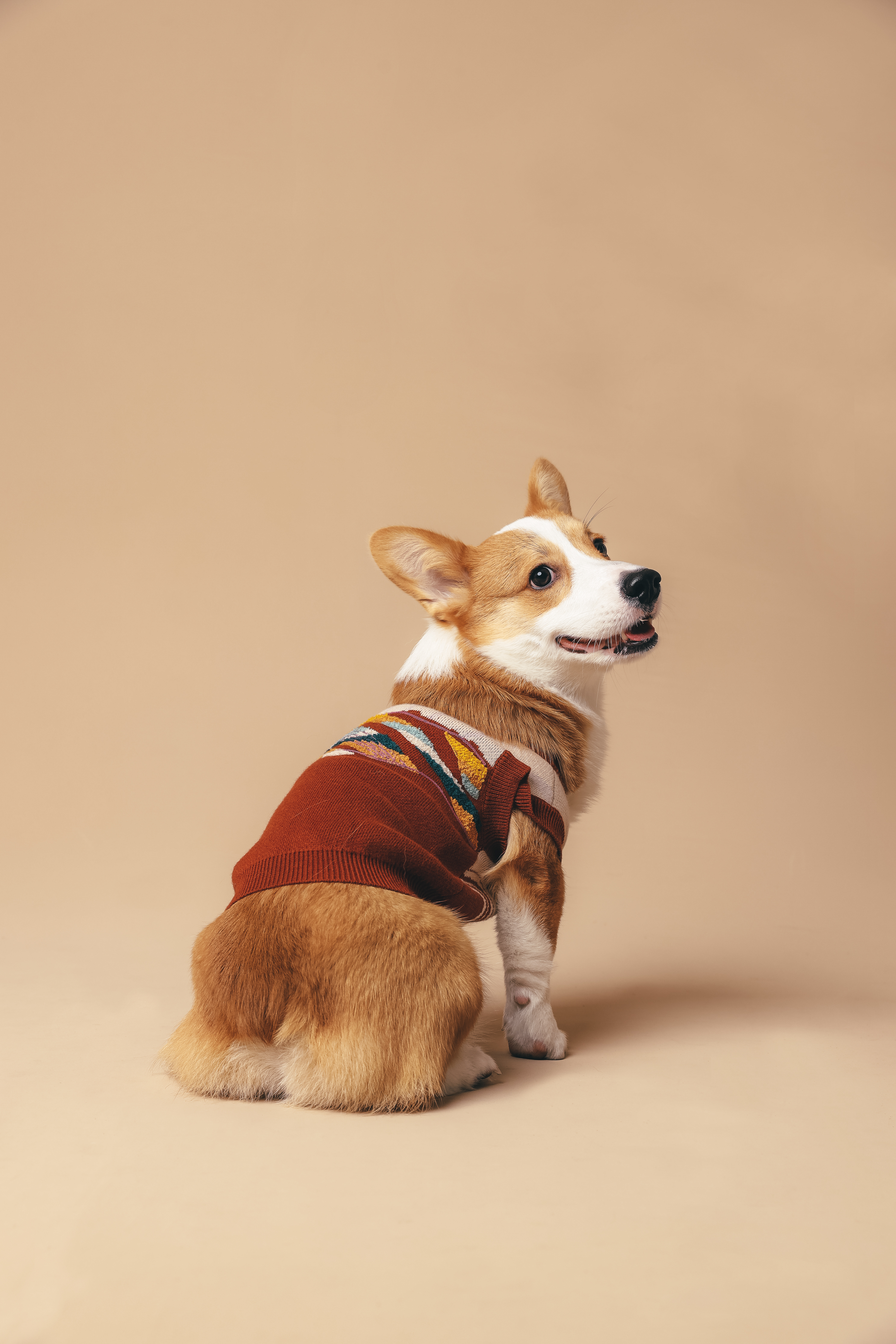 【Just Latin America】彩紅寵物針織背心