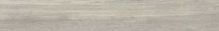 E15090069