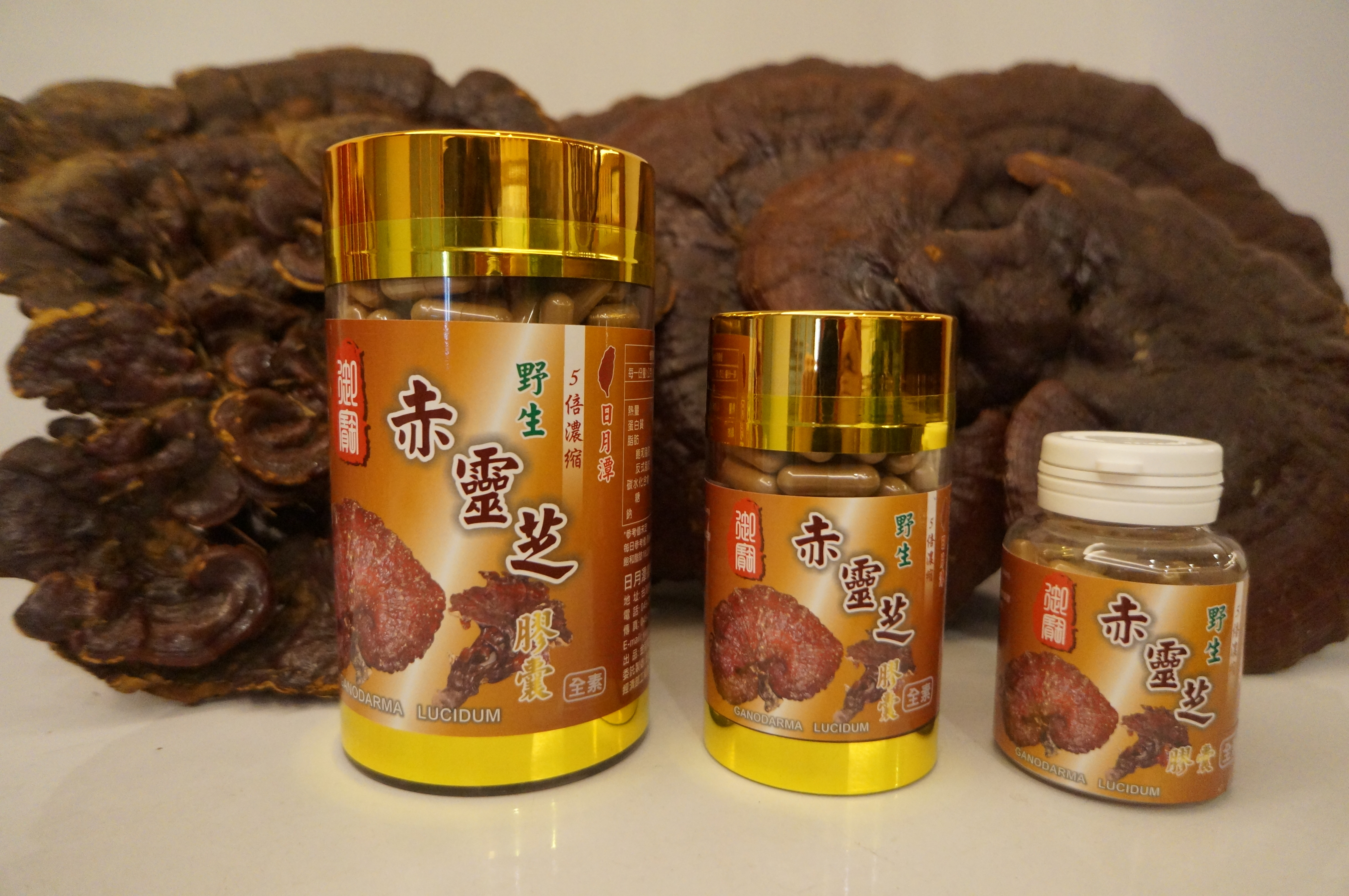 野生赤靈芝膠囊 (大)