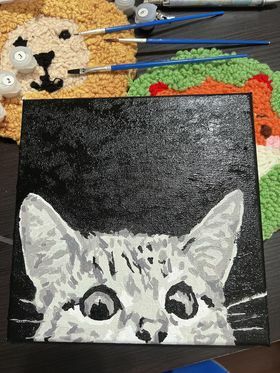 【DA3011】偷窺貓（袋裝）