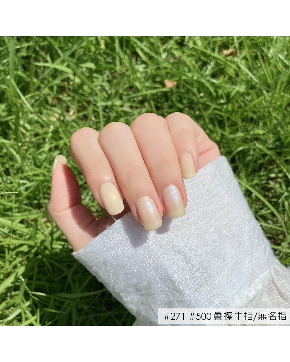 絕美！貝殼光鮮奶昔(271+500)