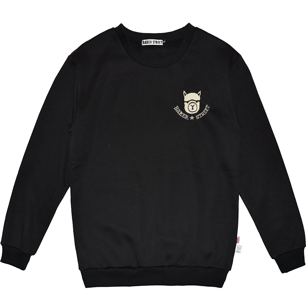 Embroidery-羊駝星星 刺繡 高磅數長袖圓T