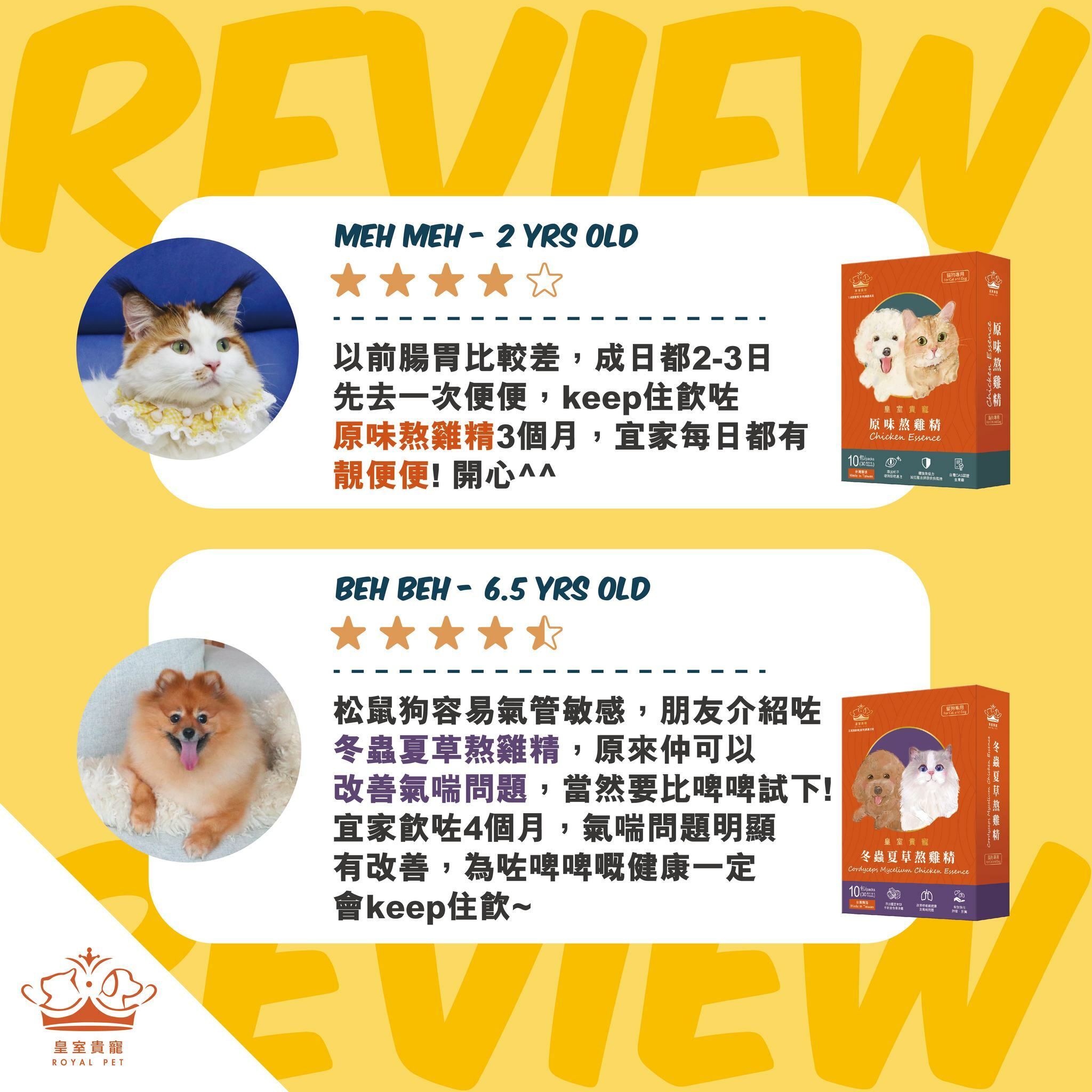 皇室貴寵-寵物熬雞精