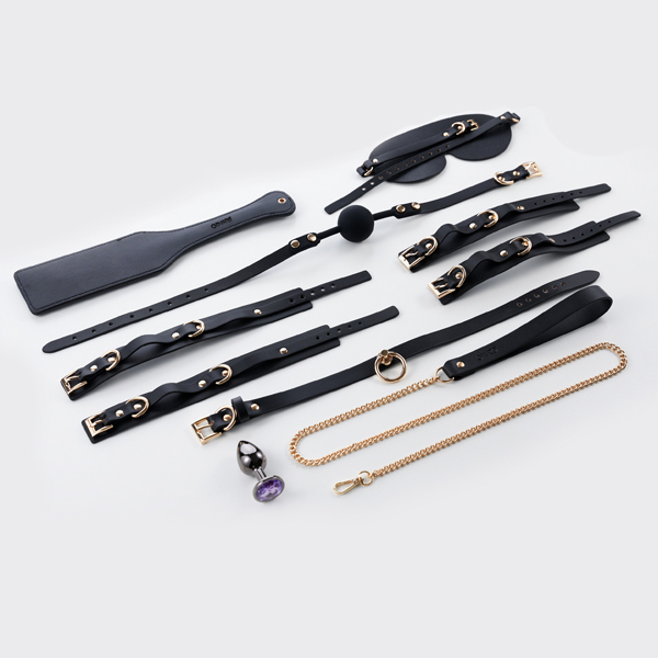 GINRO BDSM Beginner Set