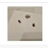 [S] NYU.NYU APPLE EAR STUD WITH SILVER PIN,SILVER, SNN30 (SNN30)