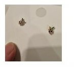 [S] NYU.NYU GRAPE EAR STUD WITH 925 SILVER,GOLD, SNN28 (SNN28)