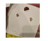 [S] NYU.NYU CHERRY EAR STUD WITH 925 SILVER PIN,GOLD, SNN37 (SNN37)