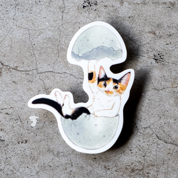 補補貓‧大衛煮愛｜防水貼紙M｜皮蛋三花貓