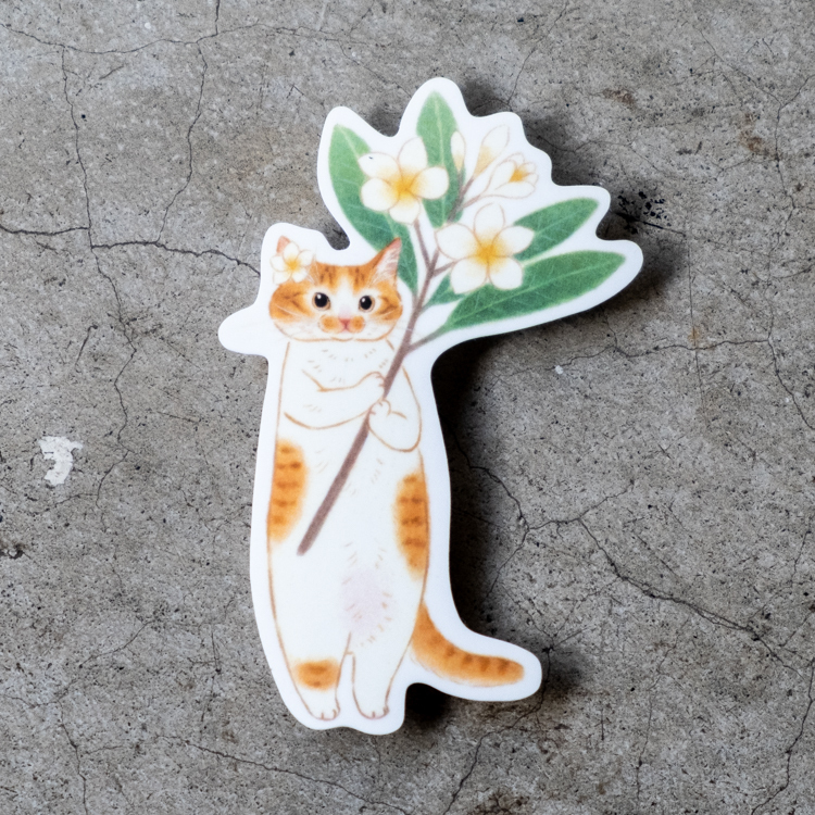 補補貓‧大衛煮愛｜防水貼紙M｜雞蛋花橘白貓