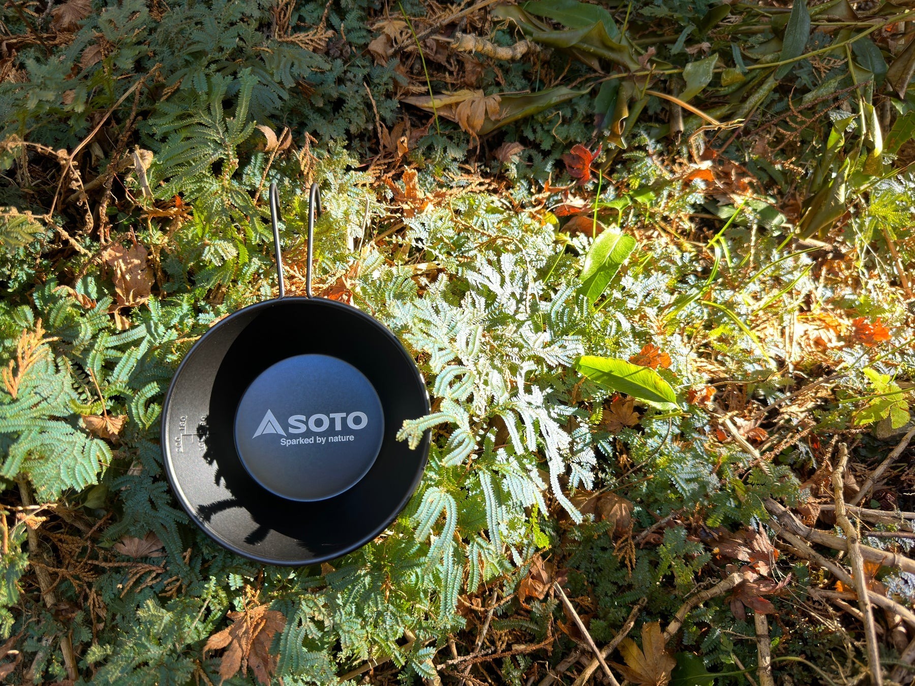 現貨 SOTO: 黑化SIERRA CUP (2023年限量版)