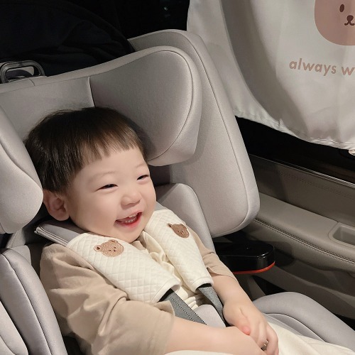 (現貨)) DTD Car seat 安全帶套咬咬巾