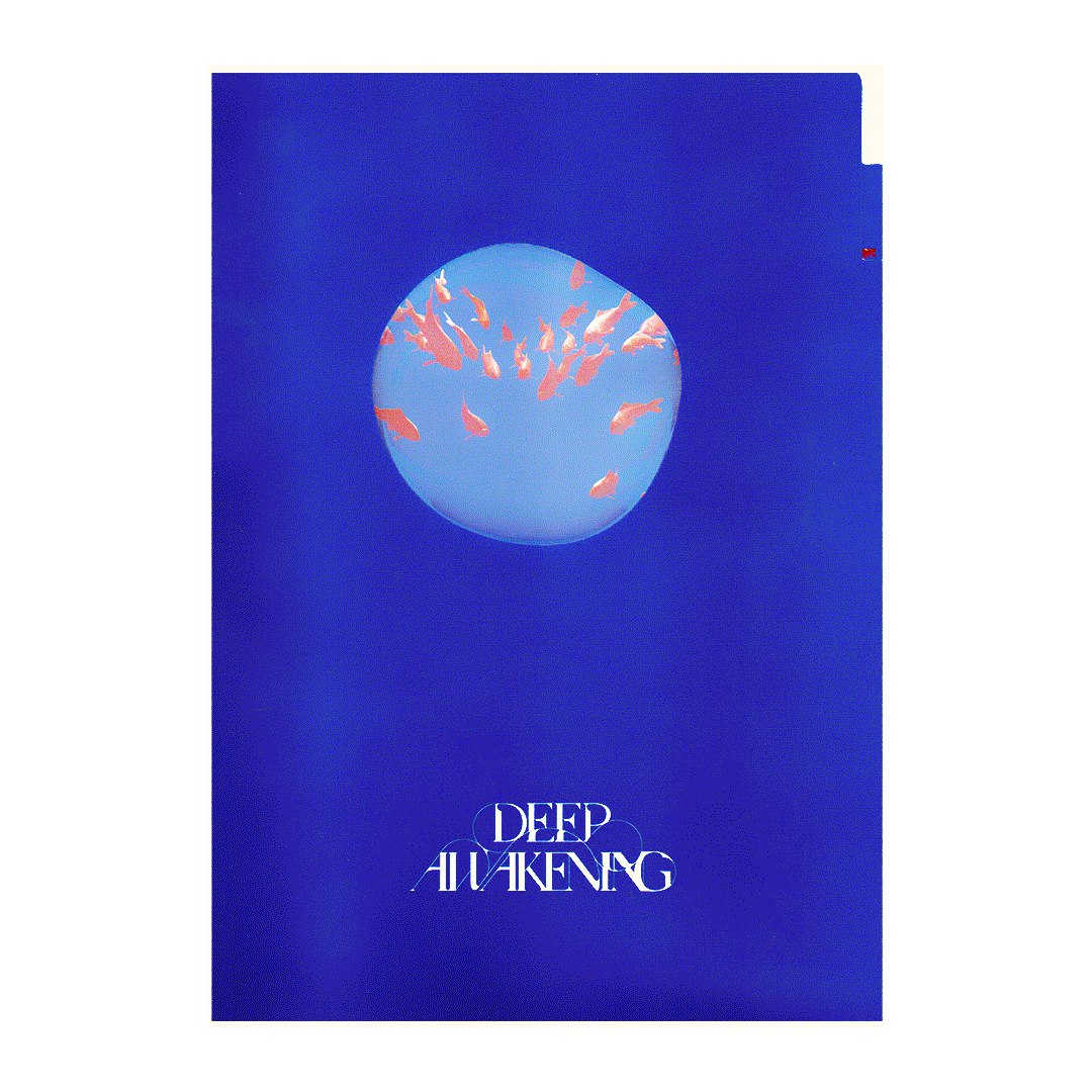 交付魚你雙層資料夾