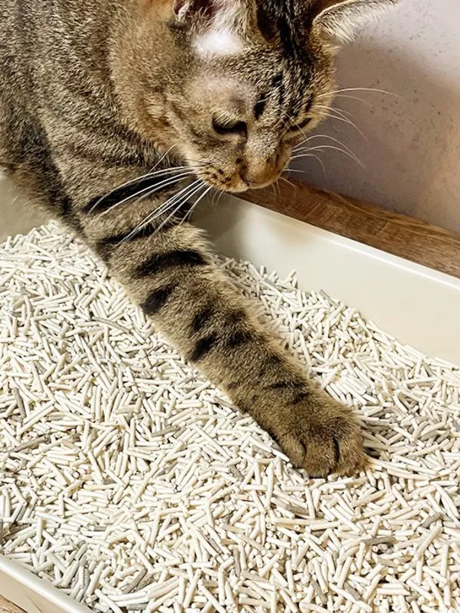 【汪喵星球】益生菌消臭豆腐砂｜條型 7L