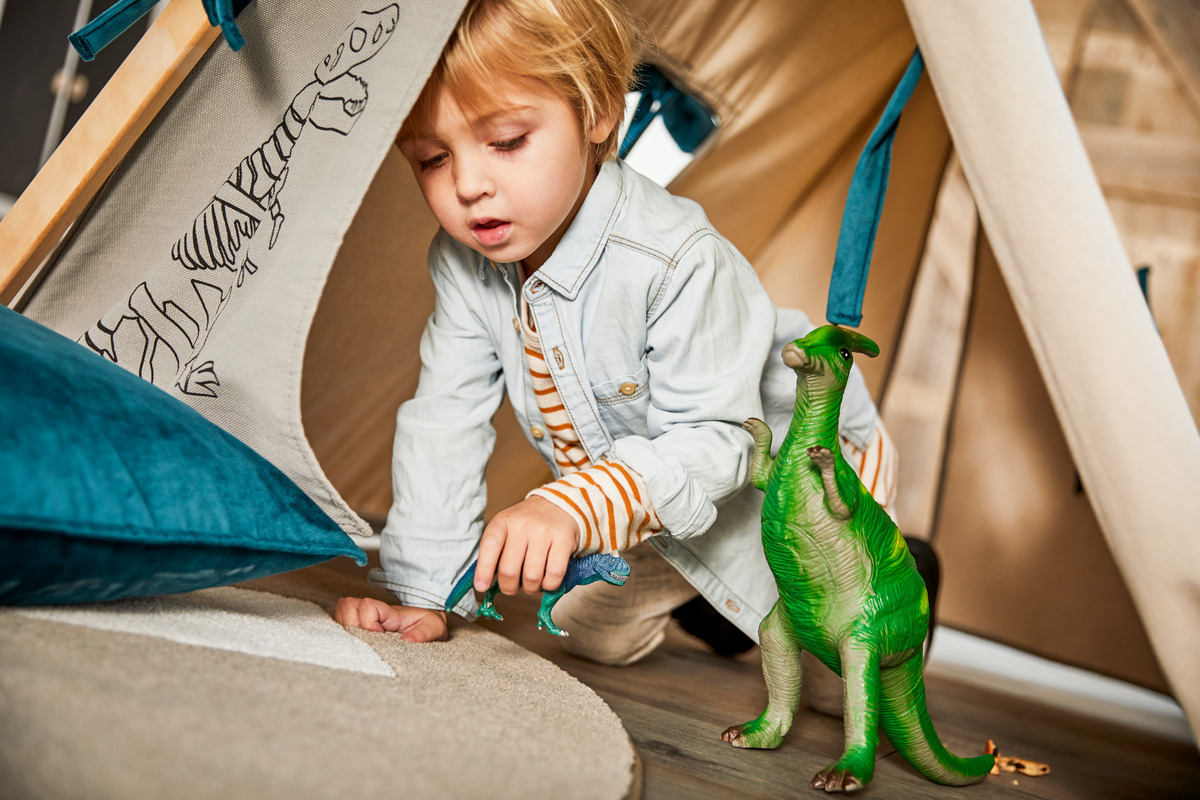 Lifetime Play Tent -  Dino