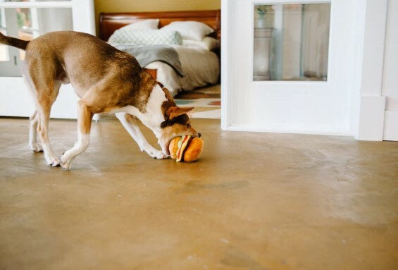 P.L.A.Y. -  Classic Collection- Barky Burger