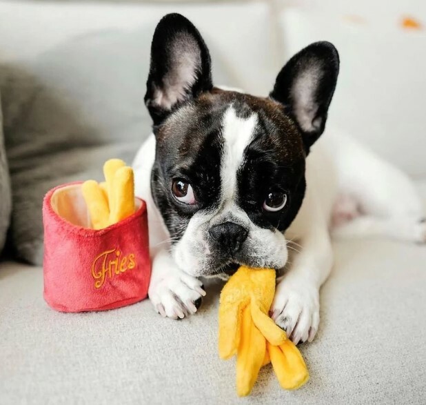 P.L.A.Y. Classic Collection-  Frenchie Fries