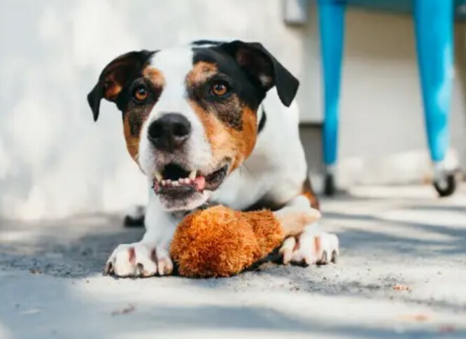 P.L.A.Y. Classic Collection-  Fluffy's Fried Chicken