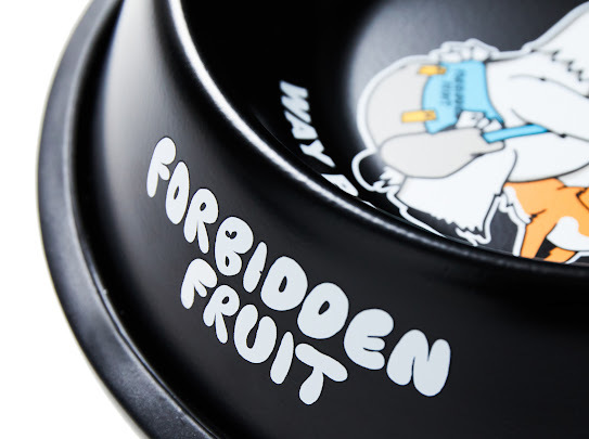 FF WAY BACK HOME PET BOWL