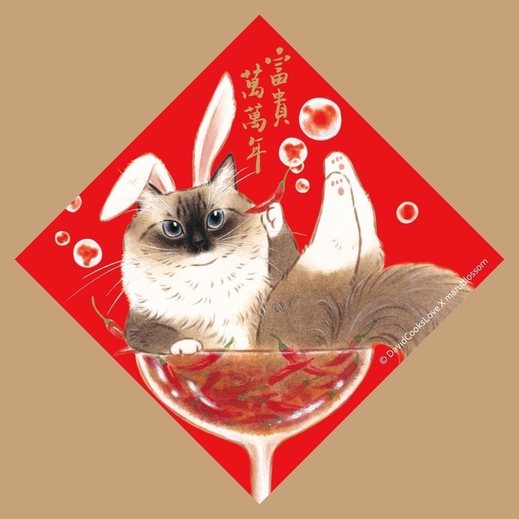 補補貓‧大衛煮愛｜燙金春聯