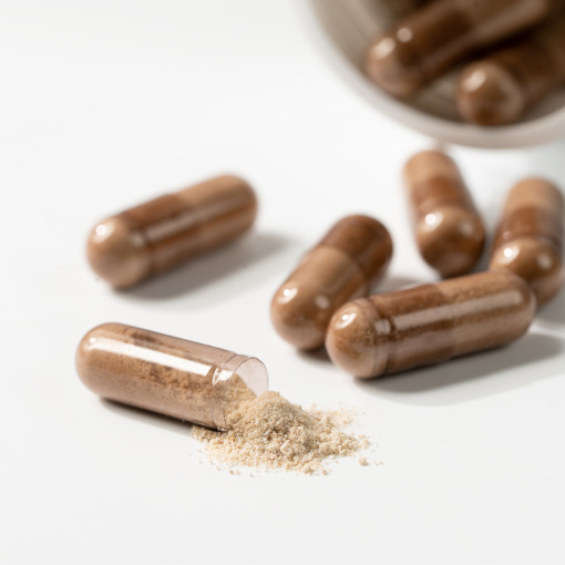 Dogcatstar - Immune System