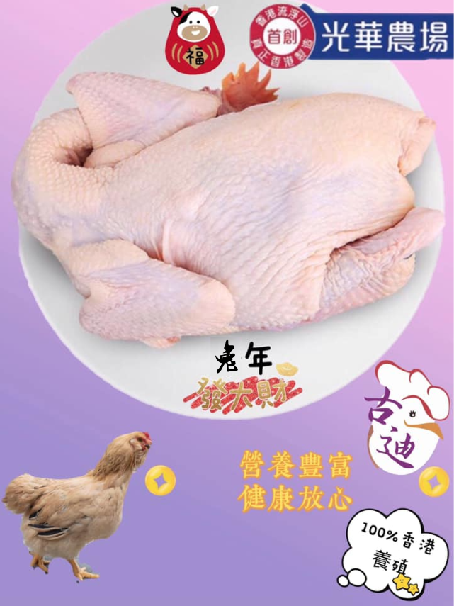 龍崗雞 - 無激素 / 光華農場 / 每隻約兩斤半 (養足100天) 連內臟 本地飼養新鮮劏 (1.5千克)