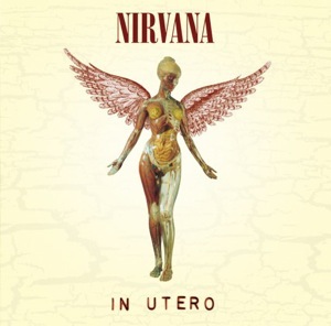 Nirvana《In Utero》（180g LP）