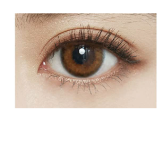 [預訂] FOMOMY 1 day Gem Brown 有色每日抛棄隱形眼鏡｜每盒10片